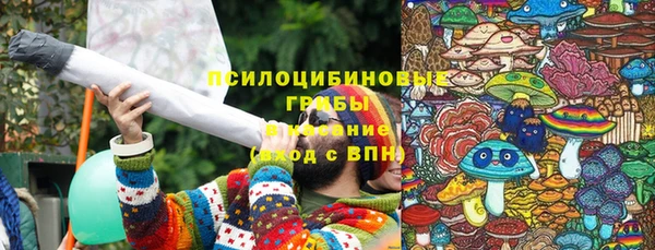 мяу мяу мука Армянск