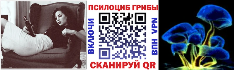 OMG ссылка где купить наркотик Судак Псилоцибиновые грибы прущие грибы