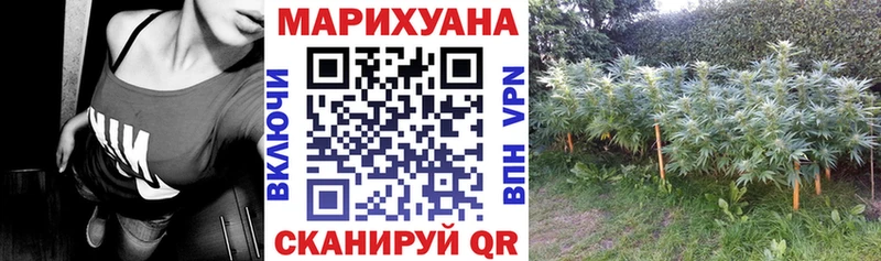 Марихуана SATIVA & INDICA  Судак 